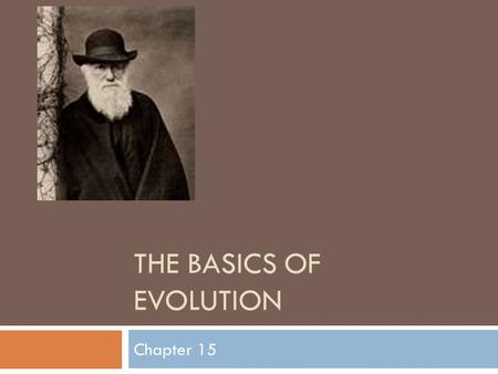 The Basics of Evolution