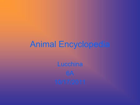 Animal Encyclopedia Lucchina 6A 10/17/2011 Table of Contents Queen Angelfish Kinkajous Peacock Atlantic Puffin Portuguese Man-Of-War Domestic Dog Fossa.