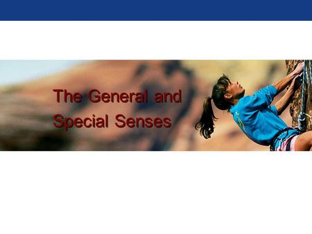 The General Senses Sensory Basics