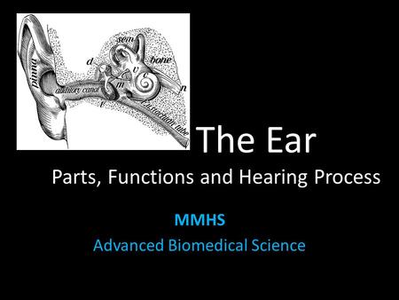 The Ear Parts, Functions and Hearing Process