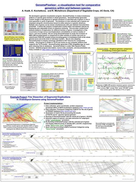 GenomePixelizer - a visualization tool for comparative genomics within and between species. A. Kozik, E. Kochetkova, and R. Michelmore (Department of Vegetable.