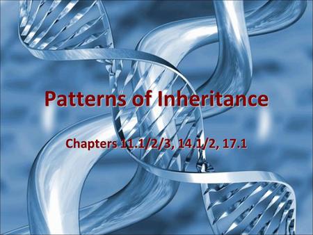 Patterns of Inheritance