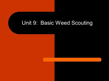 Unit 9: Basic Weed Scouting