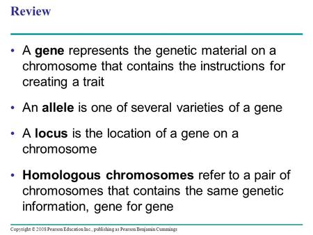 An allele is one of several varieties of a gene