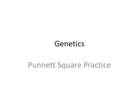 Punnett Square Practice