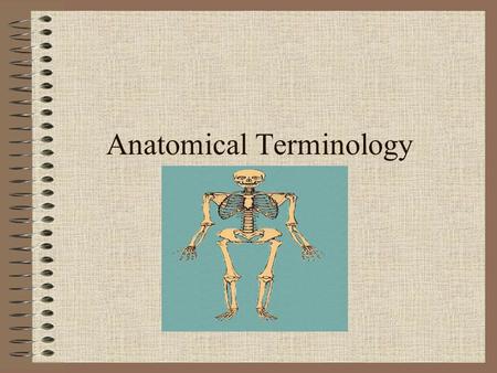 Anatomical Terminology