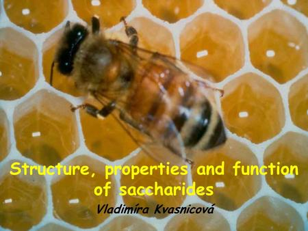 Structure, properties and function of saccharides Vladimíra Kvasnicová.