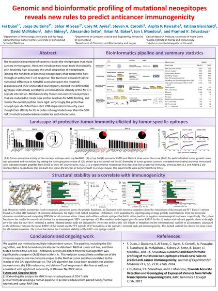 (A) Mutations within neoepitopes lead to structural alterations across the peptide backbone, as illustrated with structural snapshots from the simulations.