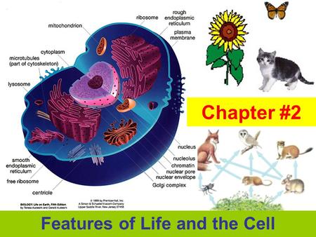 Features of Life and the Cell