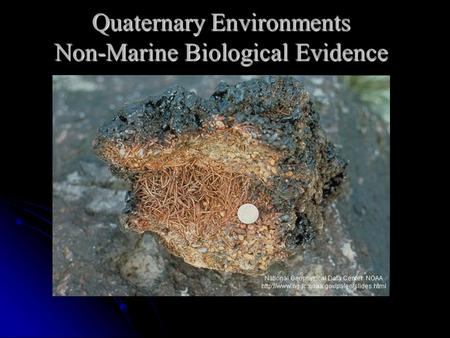 Quaternary Environments Non-Marine Biological Evidence.