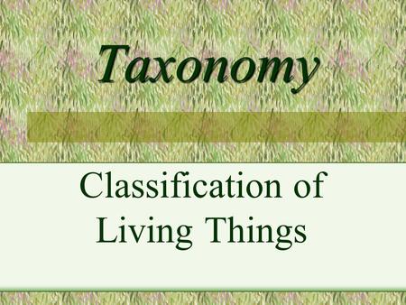 Classification of Living Things