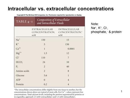 Intracellular vs. extracellular concentrations