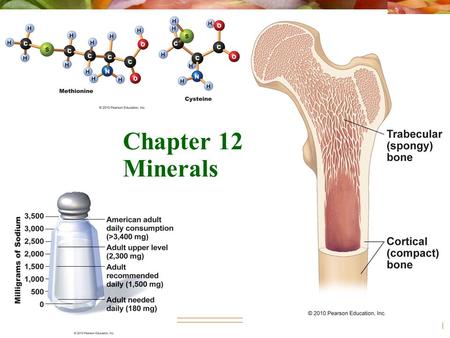 Chapter 12: Minerals.