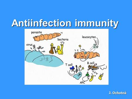 Antiinfection immunity J. Ochotná. Defence against extracellular pathogens.