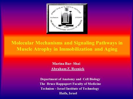 Molecular Mechanisms and Signaling Pathways in Muscle Atrophy in Immobilization and Aging Marina Bar- Shai Abraham Z. Reznick Department of Anatomy and.