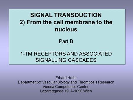 2) From the cell membrane to the nucleus