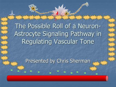 The Possible Roll of a Neuron- Astrocyte Signaling Pathway in Regulating Vascular Tone Presented by Chris Sherman.