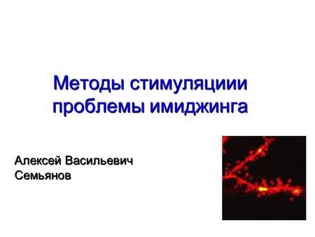 Методы стимуляциии проблемы имиджинга Алексей Васильевич Семьянов.