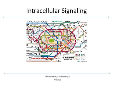 Fall Semester, Lab Meeting 3 9/30/09 Intracellular Signaling.