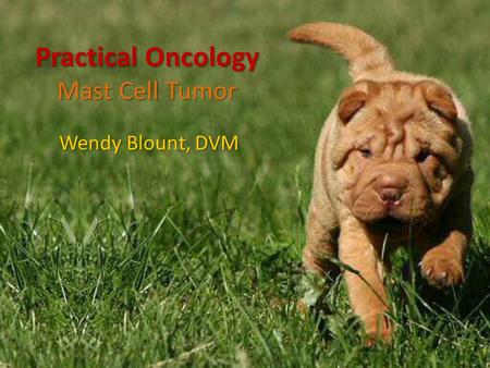 Practical Oncology Mast Cell Tumor Wendy Blount, DVM.