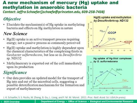 Objective Elucidate the mechanism(s) of Hg uptake in methylating bacteria and effects on Hg methylation in nature New Science Hg(II) uptake is an active.