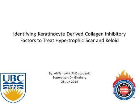 Identifying Keratinocyte Derived Collagen Inhibitory Factors to Treat Hypertrophic Scar and Keloid By: Ali Farrokhi (PhD student) Supervisor: Dr. Ghahary.