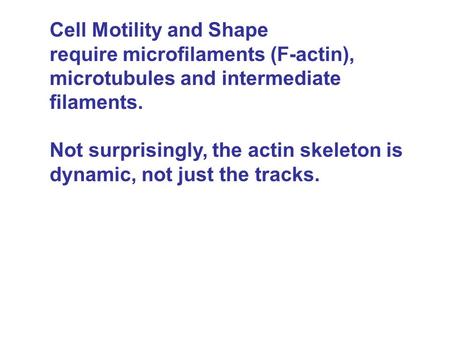 Cell Motility and Shape require microfilaments (F-actin), microtubules and intermediate filaments. Not surprisingly, the actin skeleton is dynamic, not.