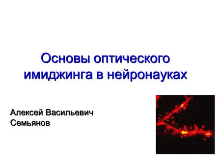 Основы оптического имиджинга в нейронауках Алексей Васильевич Семьянов.