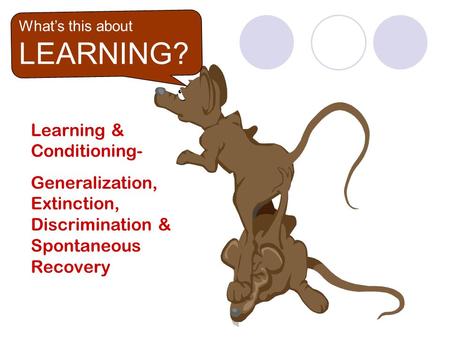 What’s this about LEARNING? What’s this about LEARNING? Learning & Conditioning- Generalization, Extinction, Discrimination & Spontaneous Recovery.