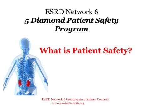 ESRD Network 6 5 Diamond Patient Safety Program