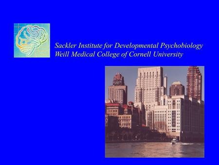 Sackler Institute for Developmental Psychobiology Weill Medical College of Cornell University.