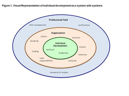 Organization Professional Field culture resources mission roles responsibilities structure funding standards Individual Development technical leadership.