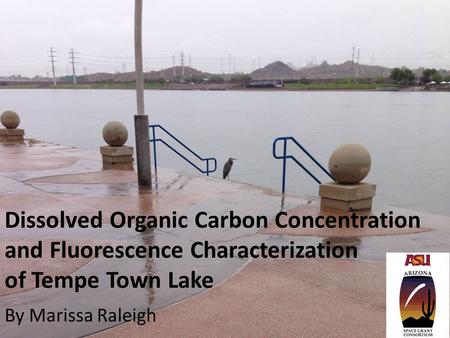 Dissolved Organic Carbon Concentration and Fluorescence Characterization of Tempe Town Lake By Marissa Raleigh.