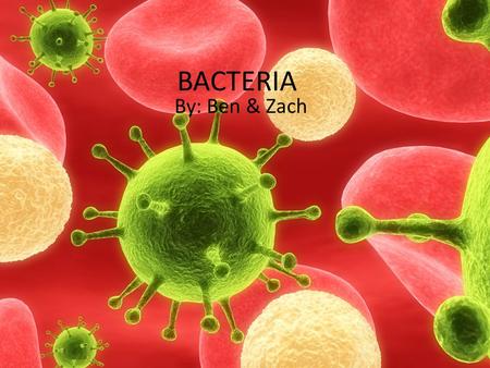 BACTERIA By: Ben & Zach. Research Research Question and Variables How does compression affect the growth of bacteria? IV Regular tile Smashed tile DV.