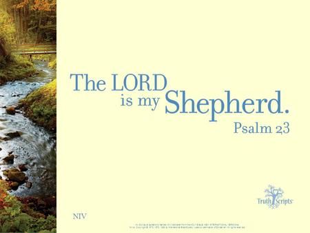 NIV All Scripture quotations marked (NIV) are taken from the HOLY BIBLE, NEW INTERNATIONAL VERSION ®. NIV ®. Copyright © 1973, 1978, 1984 by International.