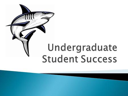 Skill development in and out of field of study example- conflict resolution and leadership skills Networking Opportunities Ability to get work experience.