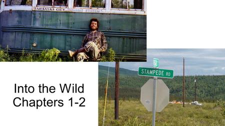 Into the Wild Chapters 1-2