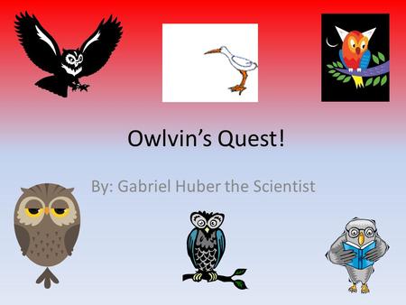 Owlvin’s Quest! By: Gabriel Huber the Scientist. Once upon a time there was an owl named Owlvin Tawny. Owlvin had bigger ears than all of his other class.