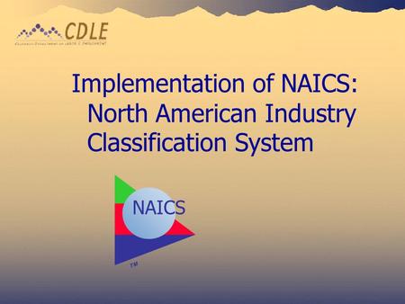 Implementation of NAICS: North American Industry Classification System