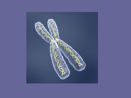 MALD Mapping by Admixture Linkage Disequilibrium.