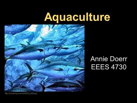 Aquaculture Annie Doerr EEES 4730