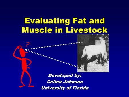 Evaluating Fat and Muscle in Livestock Developed by: Celina Johnson University of Florida.