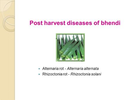 Post harvest diseases of bhendi