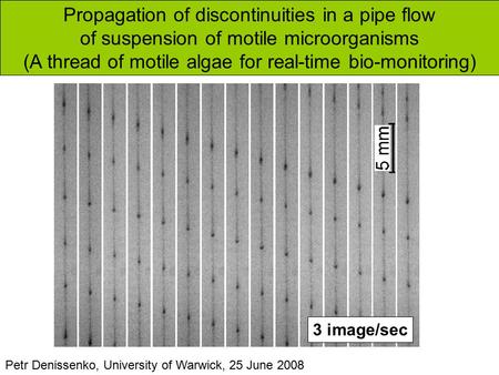 Propagation of discontinuities in a pipe flow of suspension of motile microorganisms (A thread of motile algae for real-time bio-monitoring) Petr Denissenko,