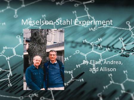 Meselson-Stahl Experiment By Elisa, Andrea, and Allison.