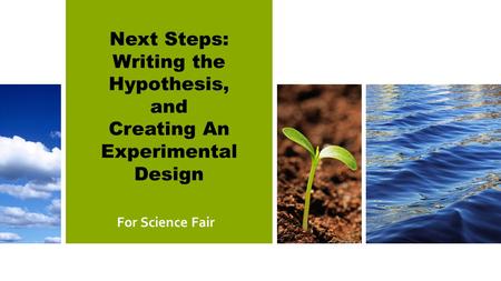 Writing the Hypothesis, and Creating An Experimental Design