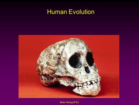 Human Evolution Mader: Biology 8th Ed..