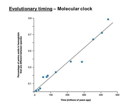 Evolutionary timing – Molecular clock. Human evolutionary history Humans show similarities with ‘apes’ (gibbons, orang, gorilla, chimps) shared derived.