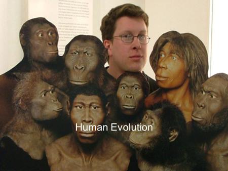 Human Evolution.