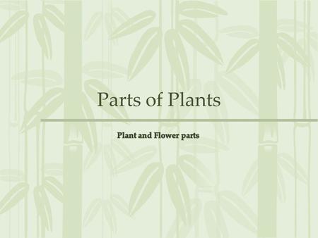 Parts of Plants Plant and Flower parts.